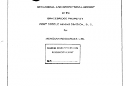 Geological and Geophysical Report