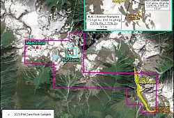 Downie Gold Property