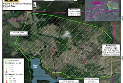 Coconut Property Permit Area