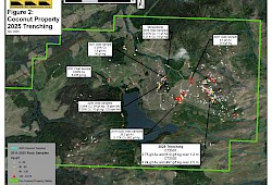 Coconut Property Permit Area
